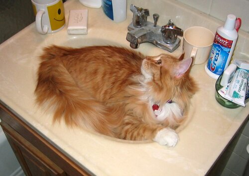JellyBean, Sink