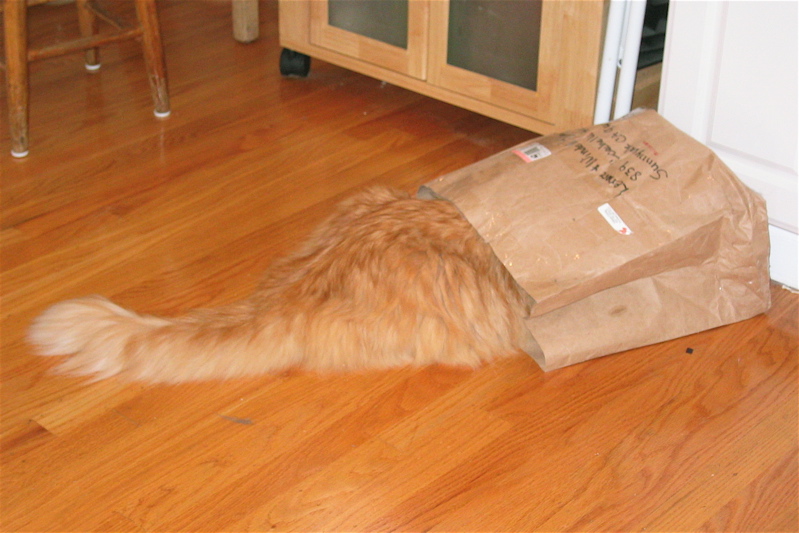 Paper Bag