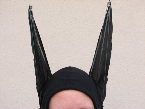 Bat costume - 09