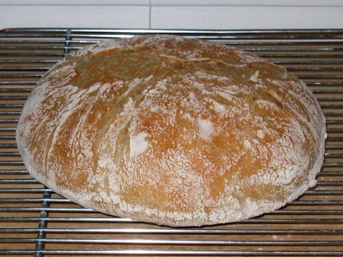 no knead bread