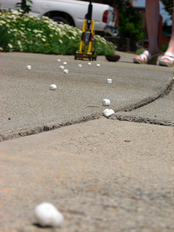 15. Trail of 'mallows