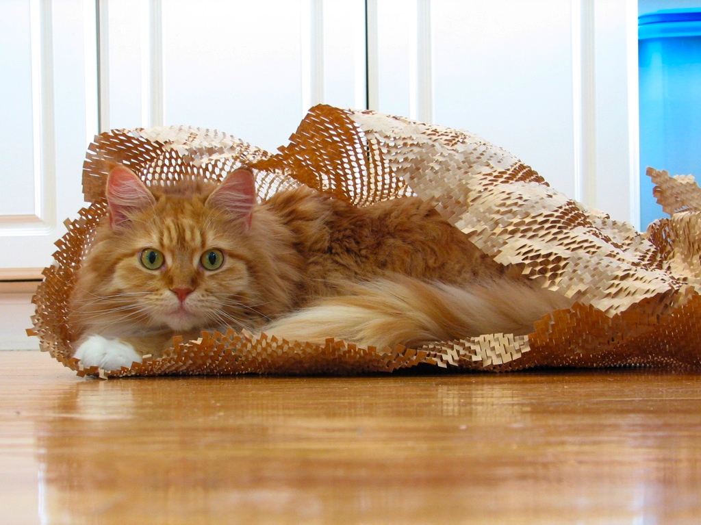 JellyBean versus the Digi-Key packaging materials