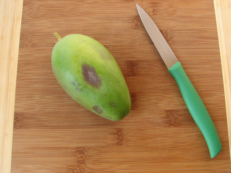 Jasmine (Stephanotis) Fruit