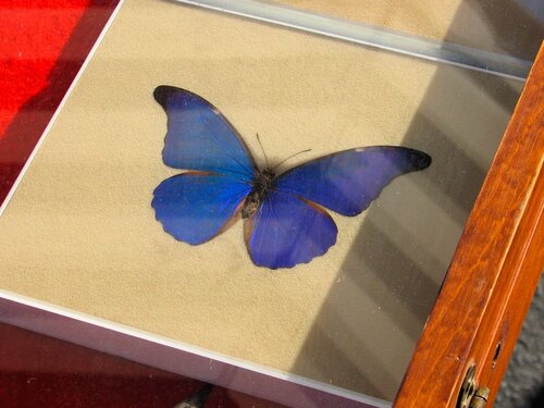 Also not electronics