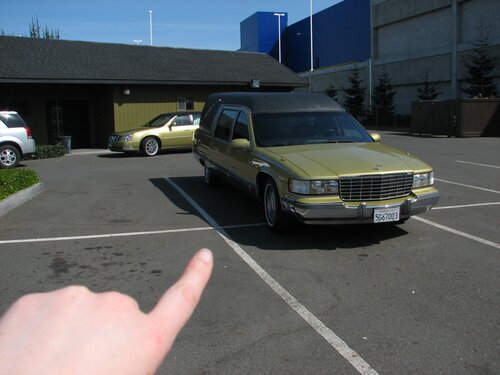 hearse matches mortuary