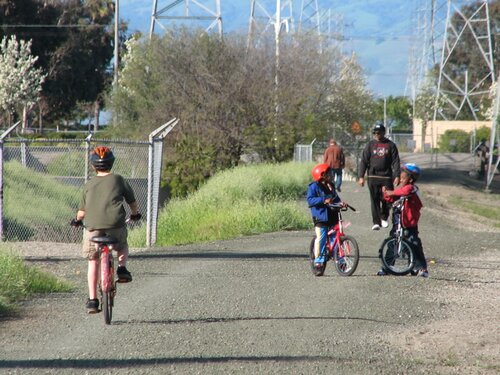 out exploring the paths