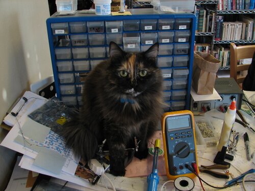 Harley helps us get ready for Maker Faire