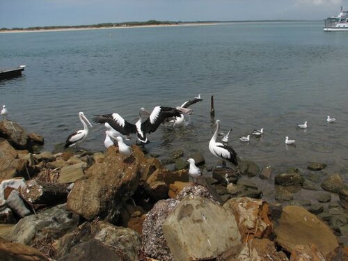 arguing over leftovers