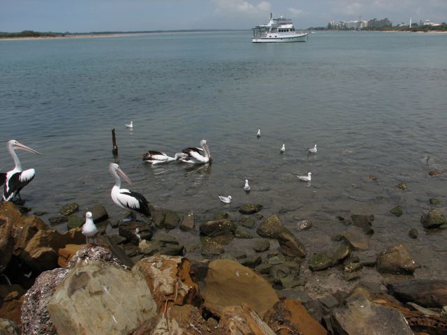 arguing over leftovers