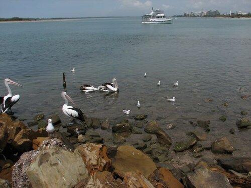 arguing over leftovers