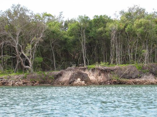shore of Bribie island