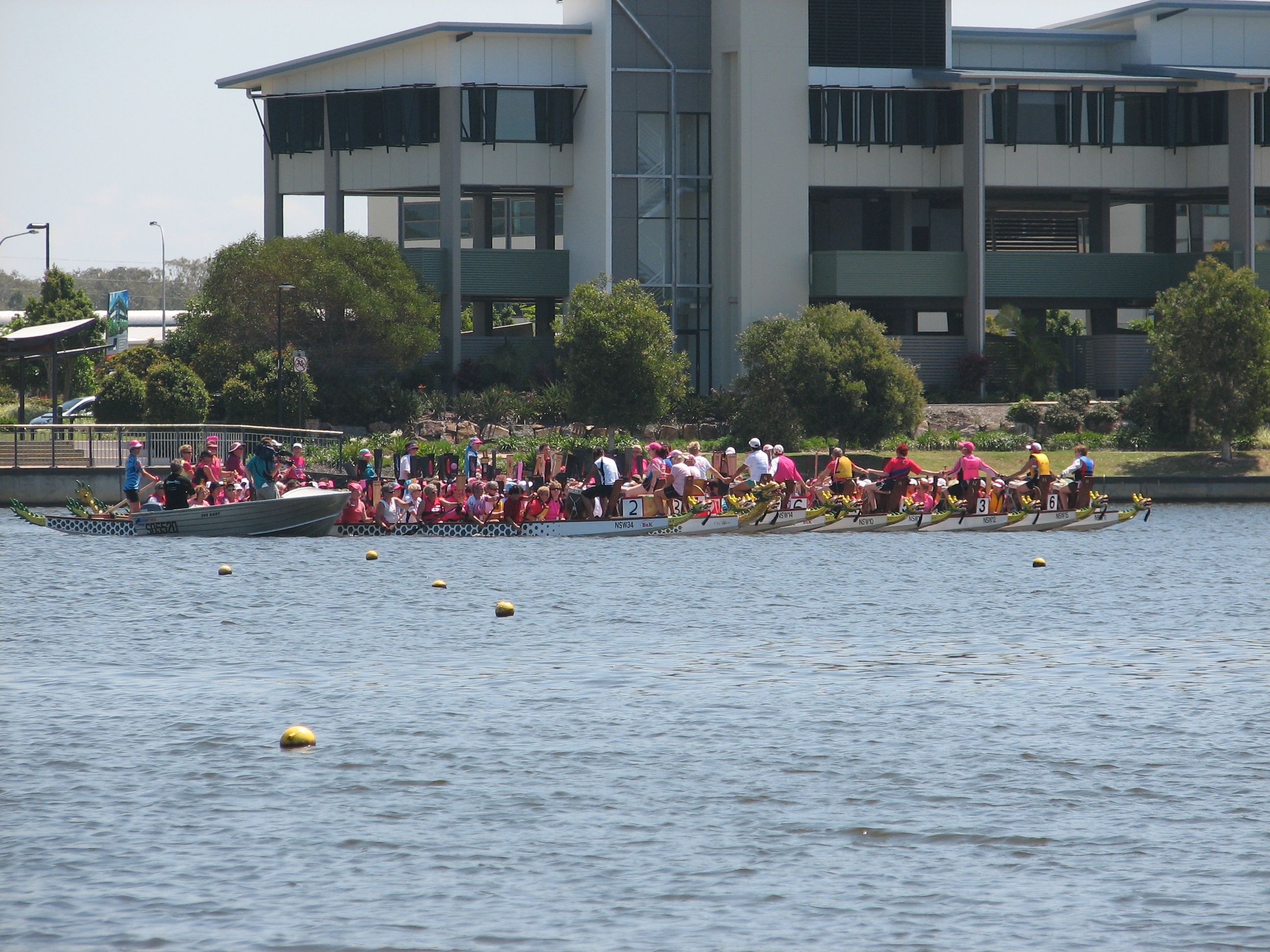 flowers on the water