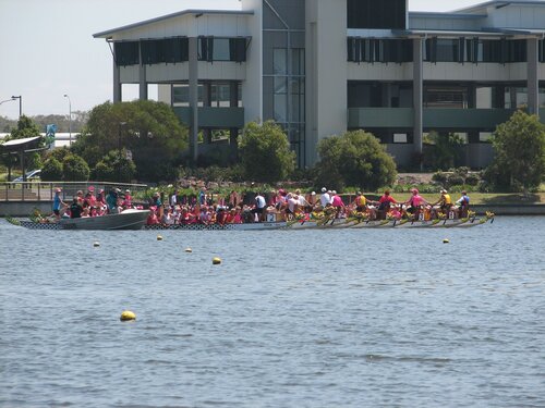 flowers on the water