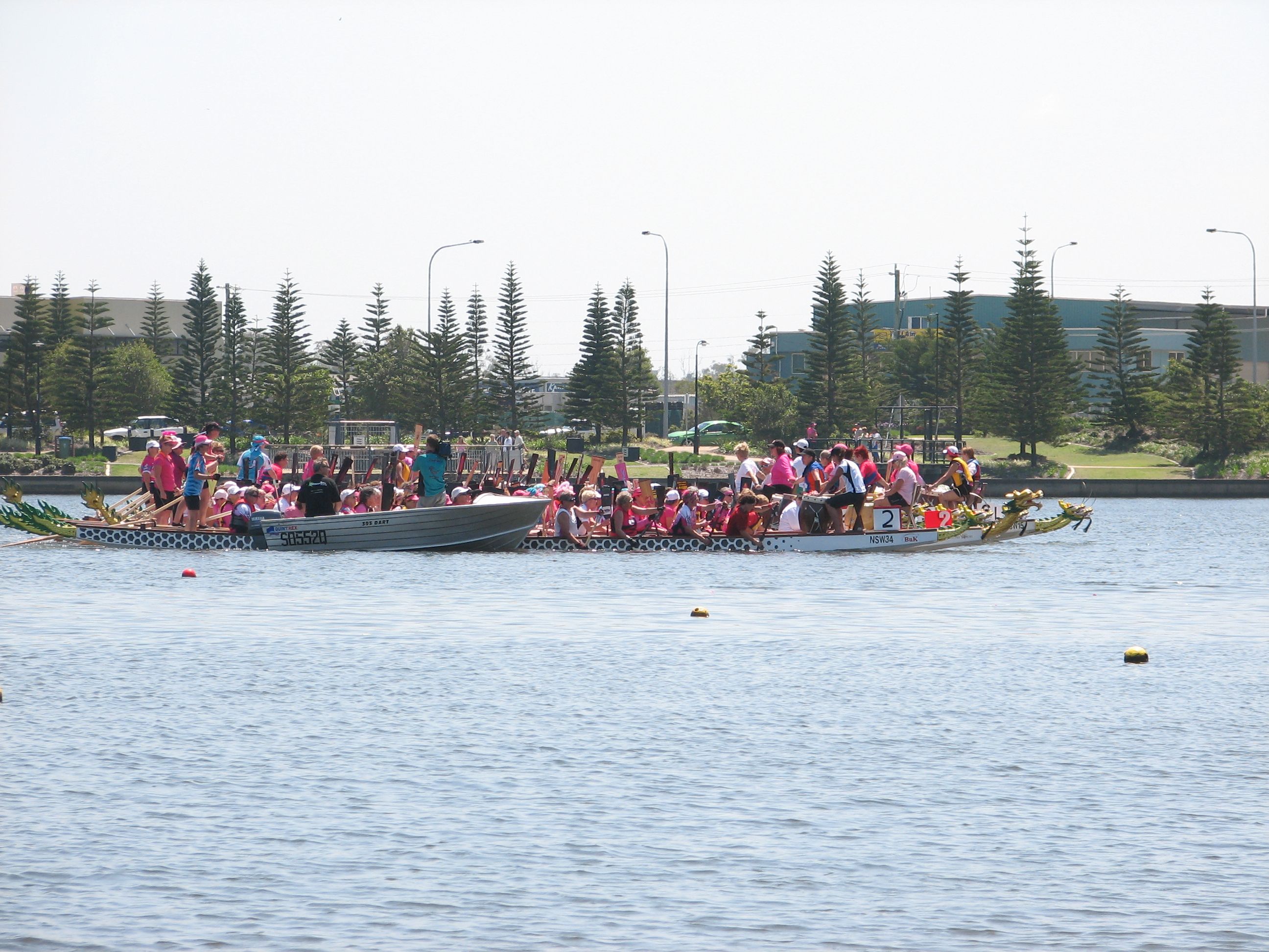 flowers on the water