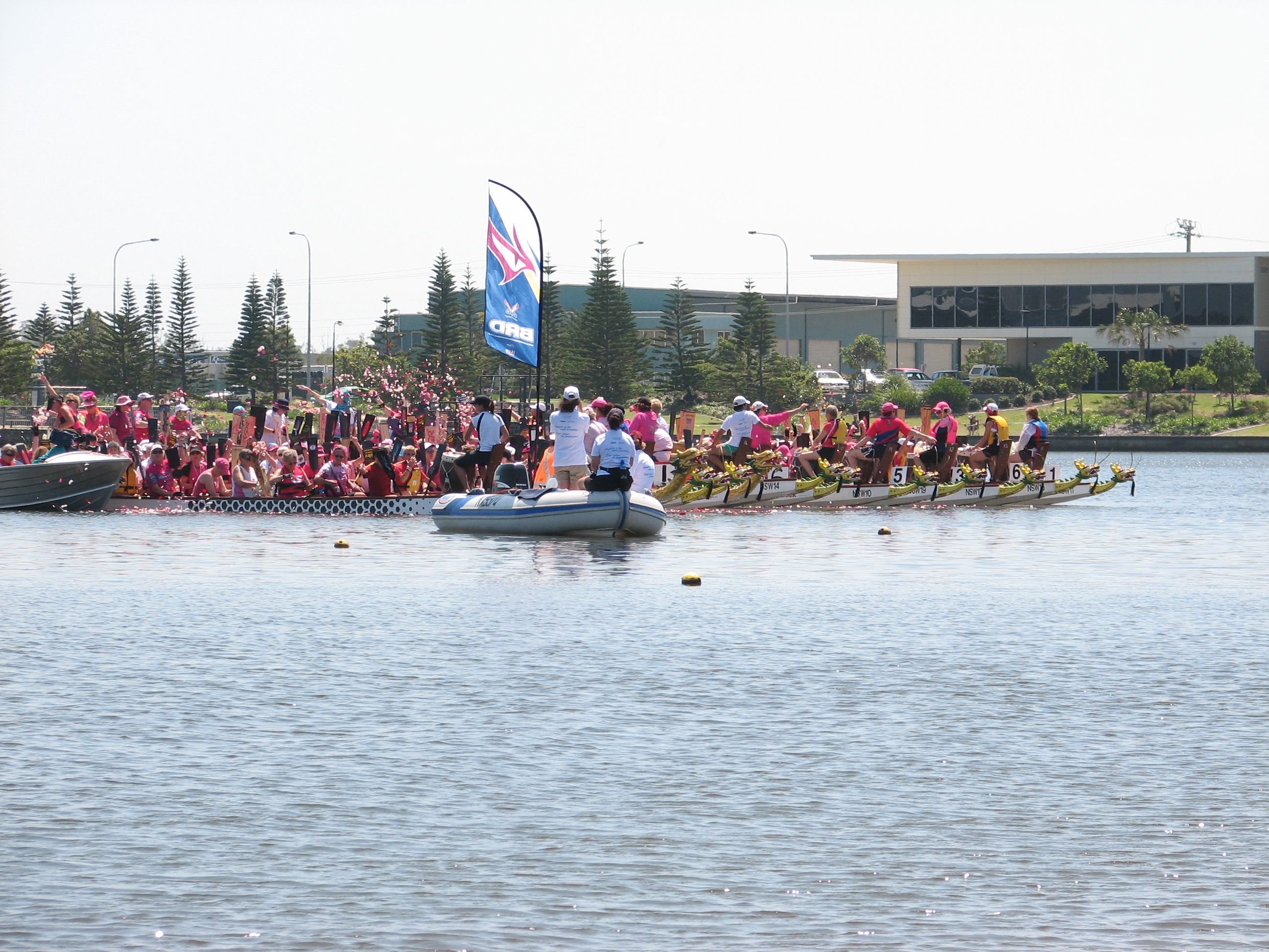flowers on the water
