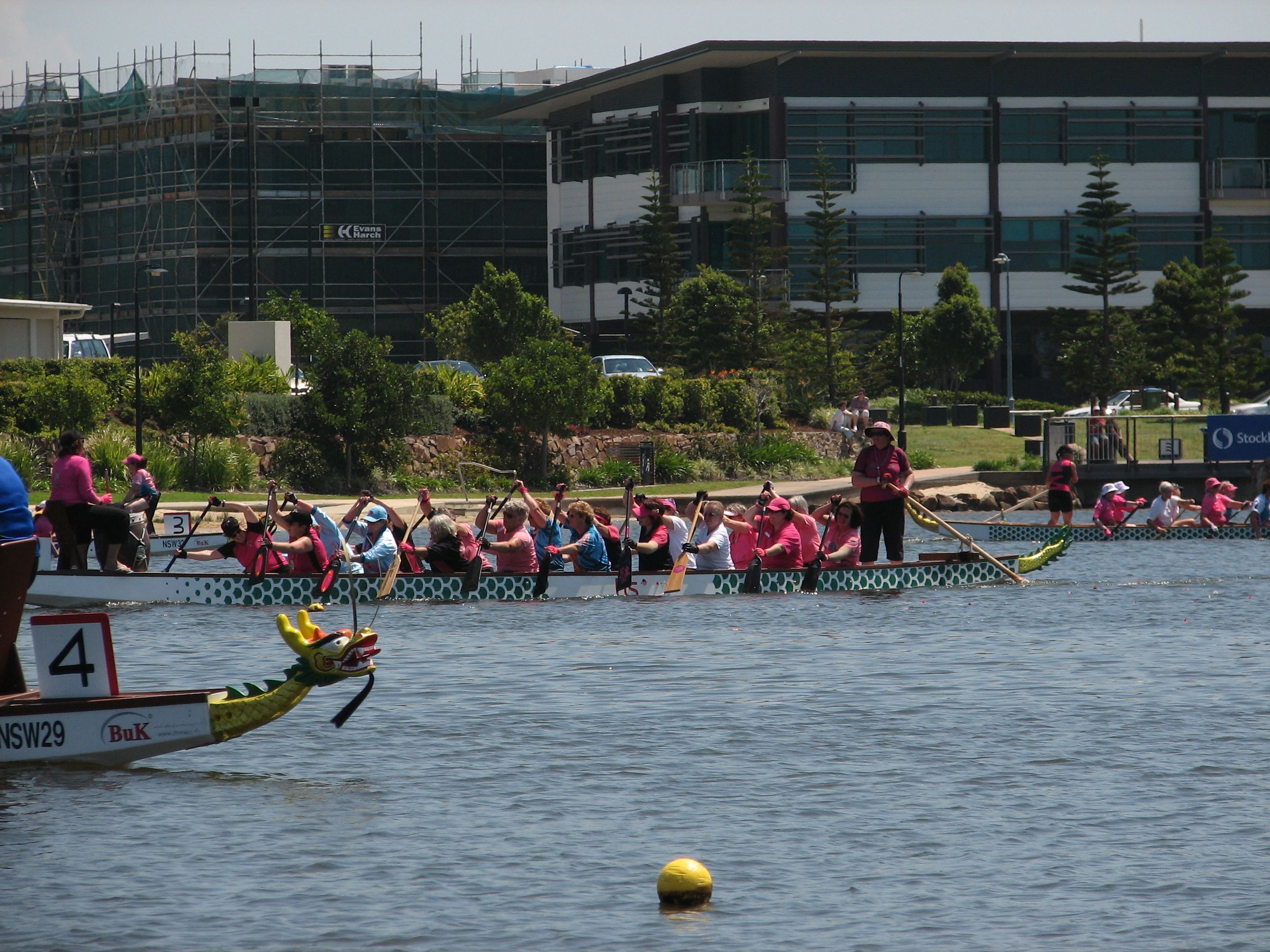 After the flowers on the water