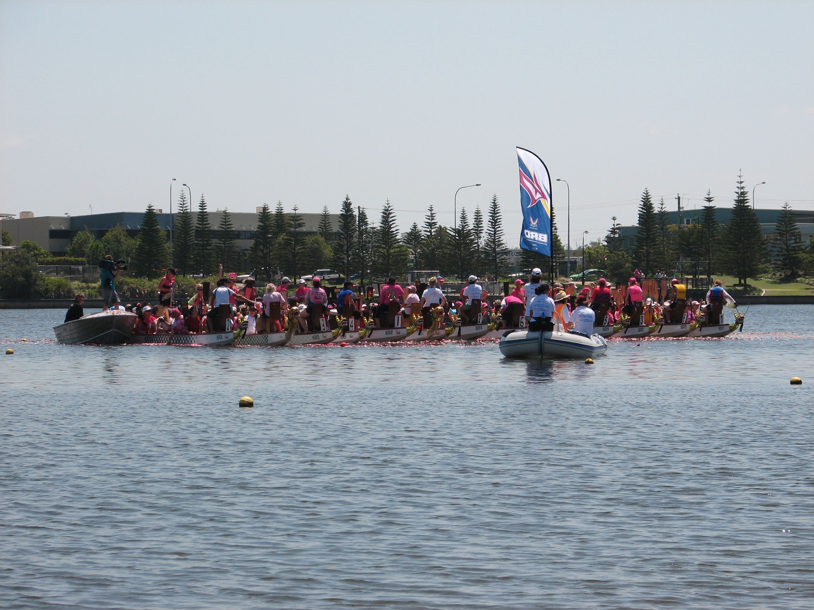 flowers on the water