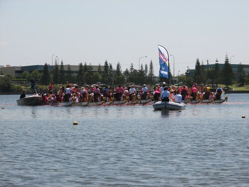 flowers on the water
