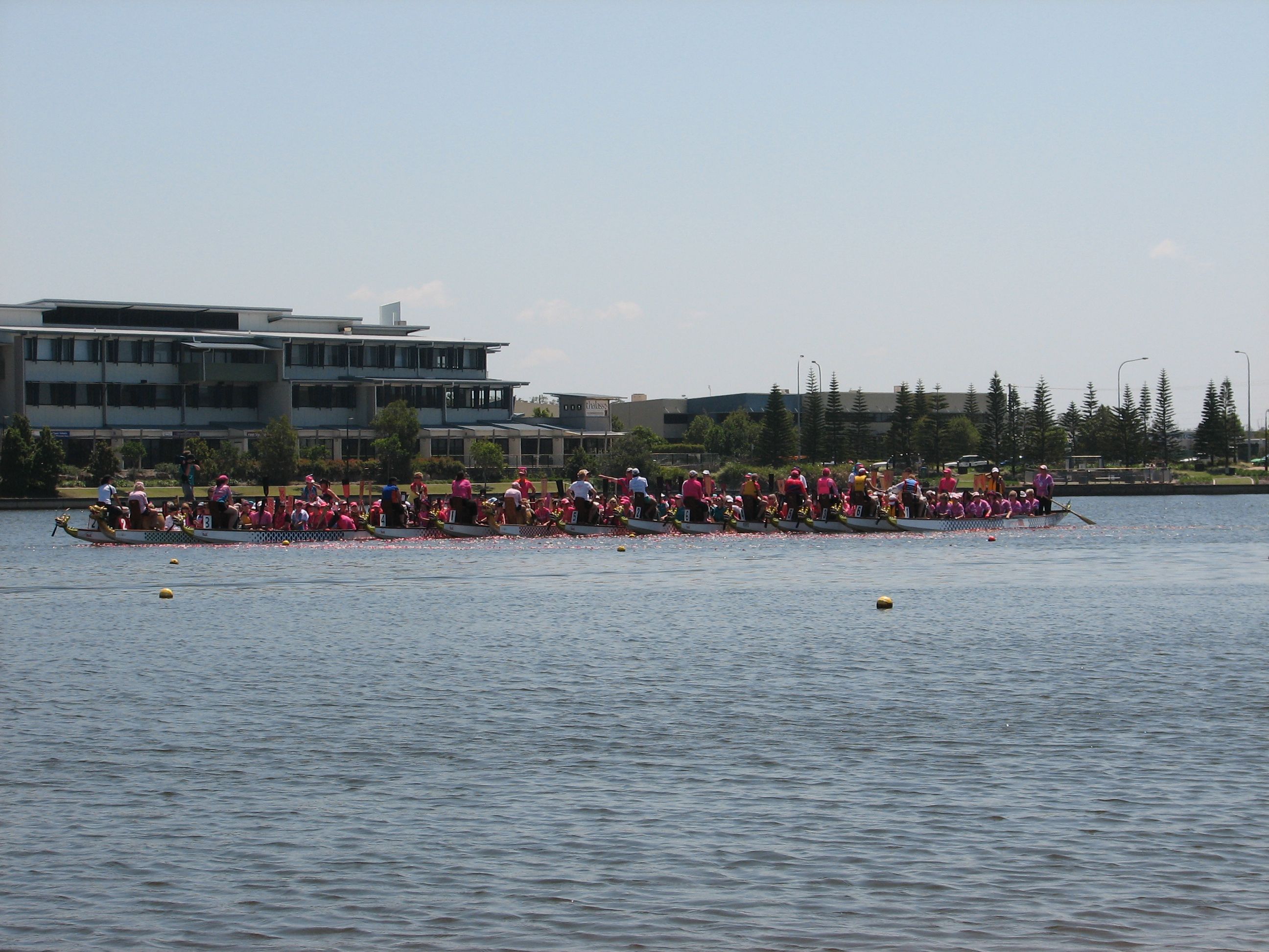 flowers on the water