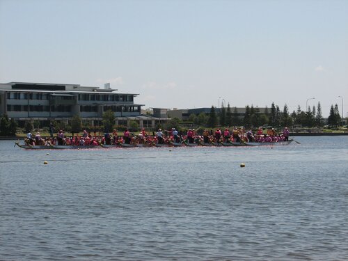 flowers on the water