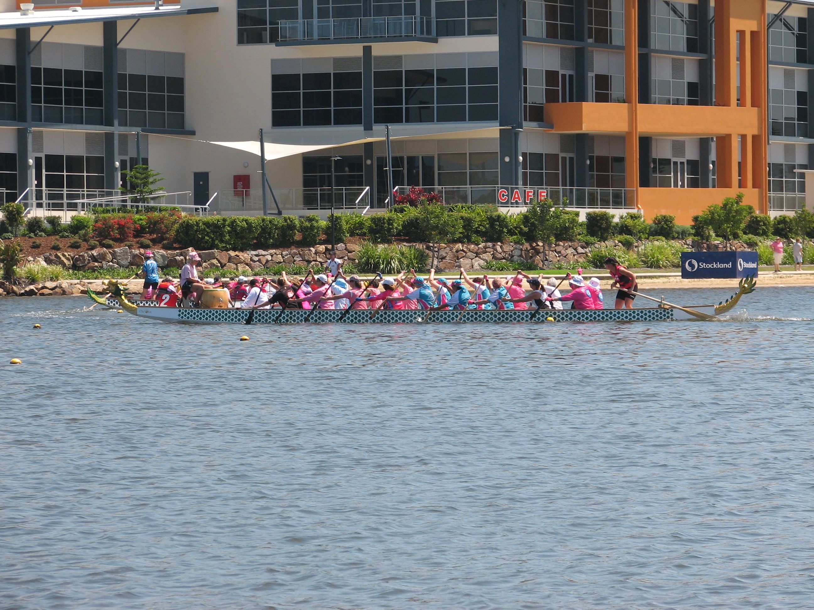 After the flowers on the water