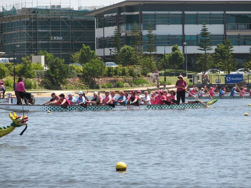 After the flowers on the water