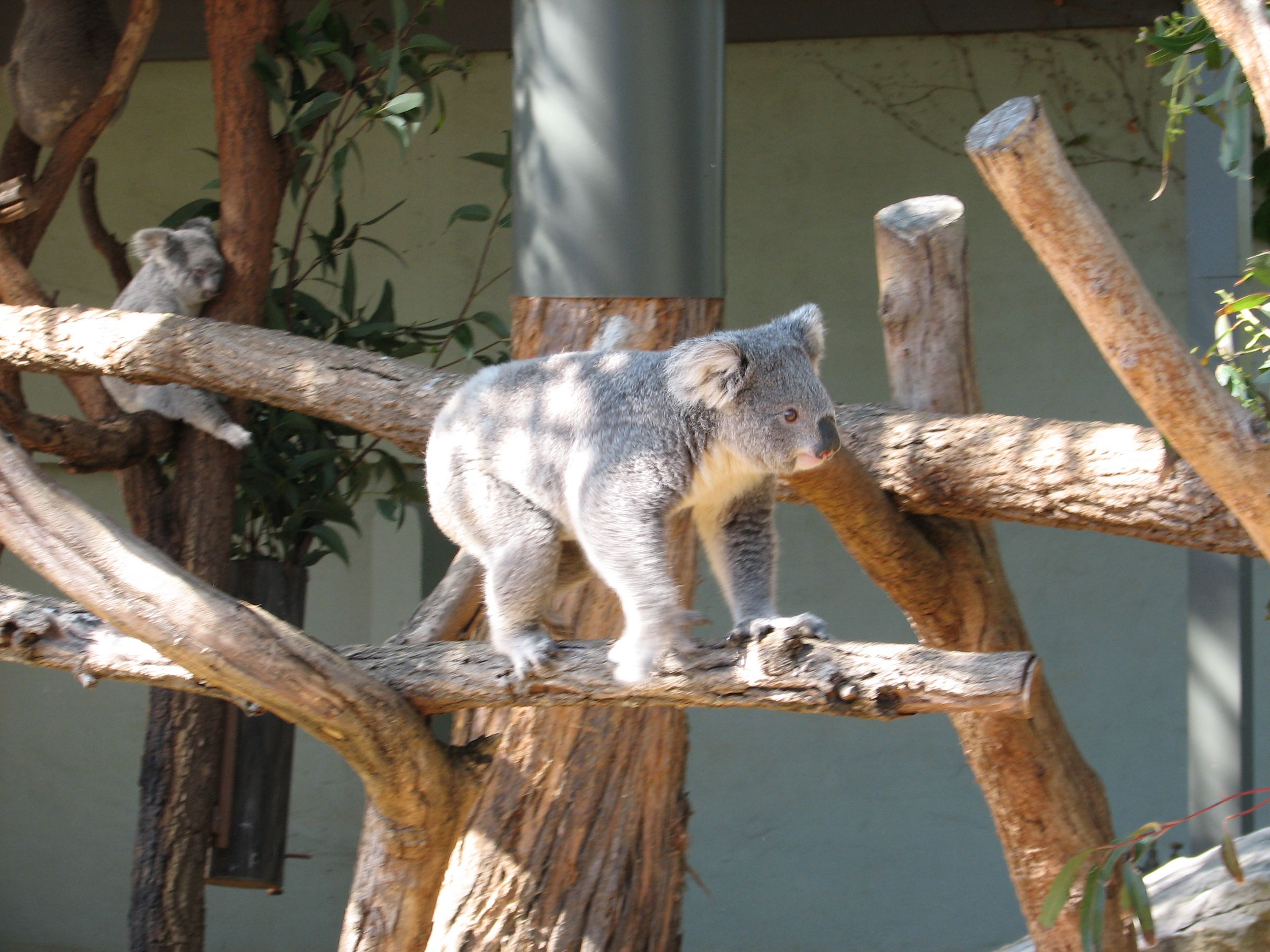 this one actually moved