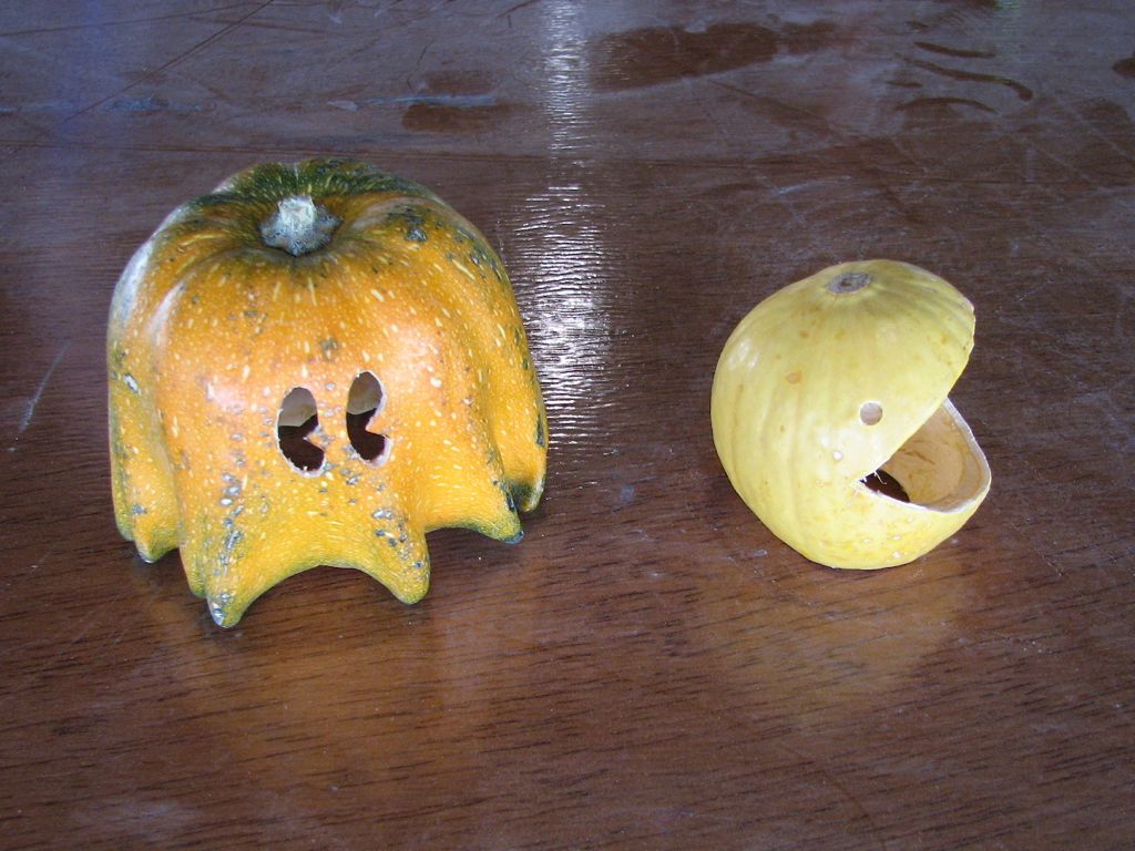 Gourds