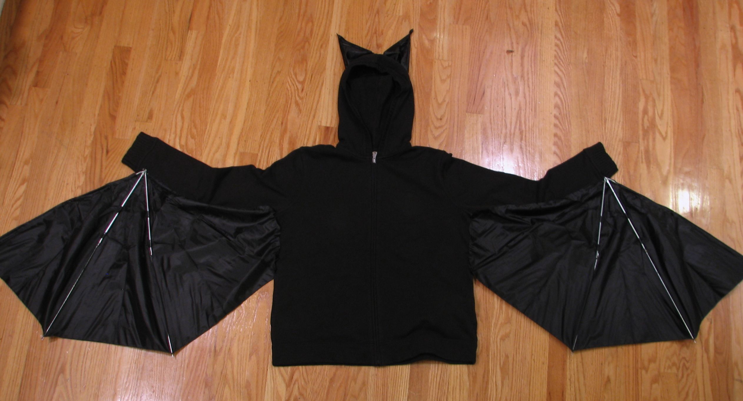 Bat Costume: Now, anatomically correct!