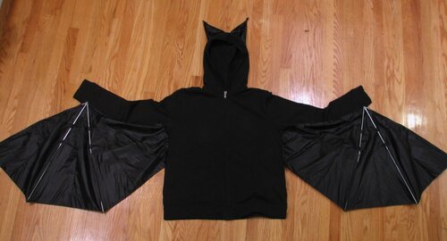 Bat Costume: Now, anatomically correct!