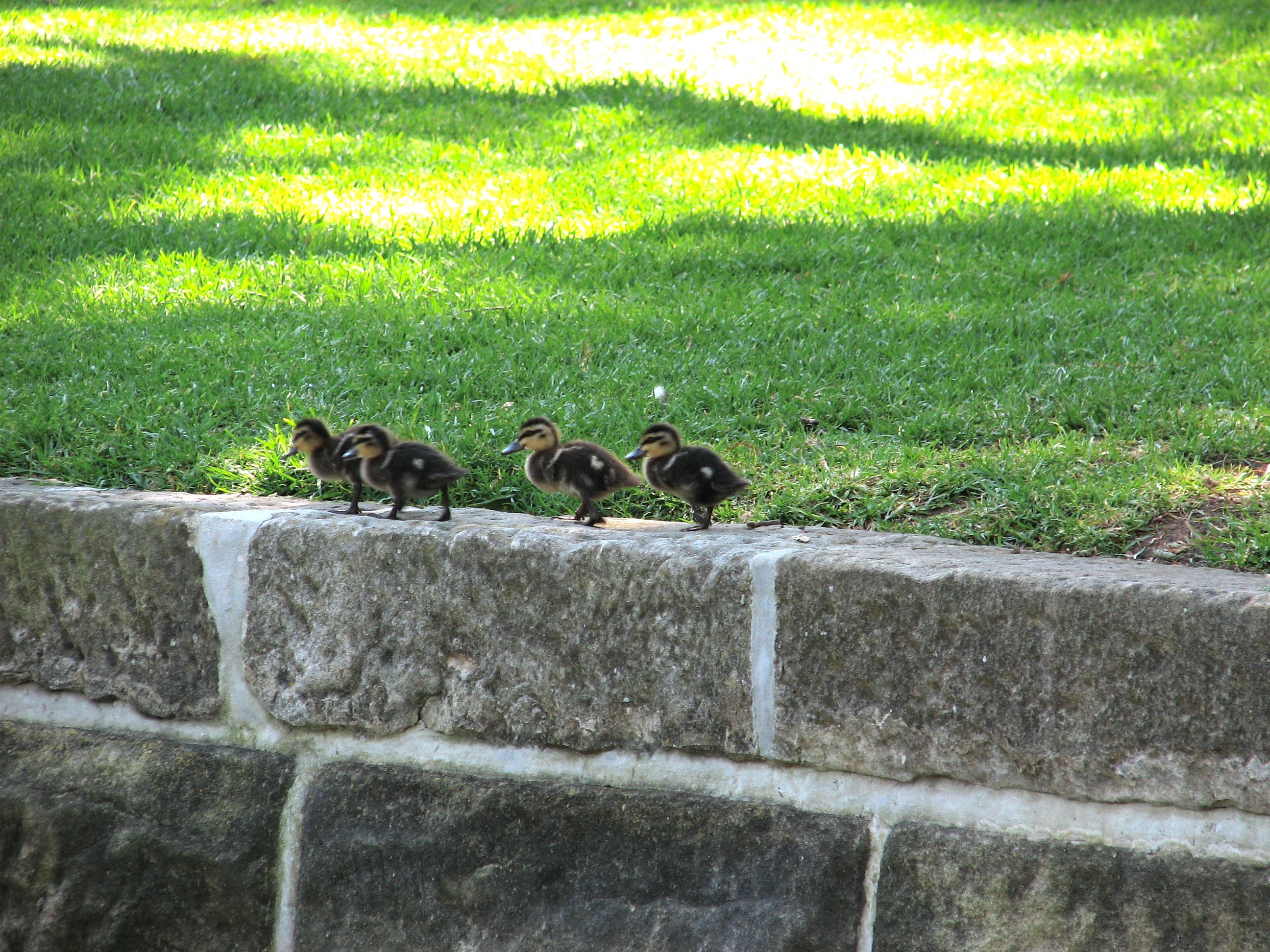 I'm not gonna do that