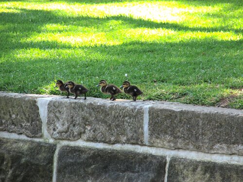 I'm not gonna do that