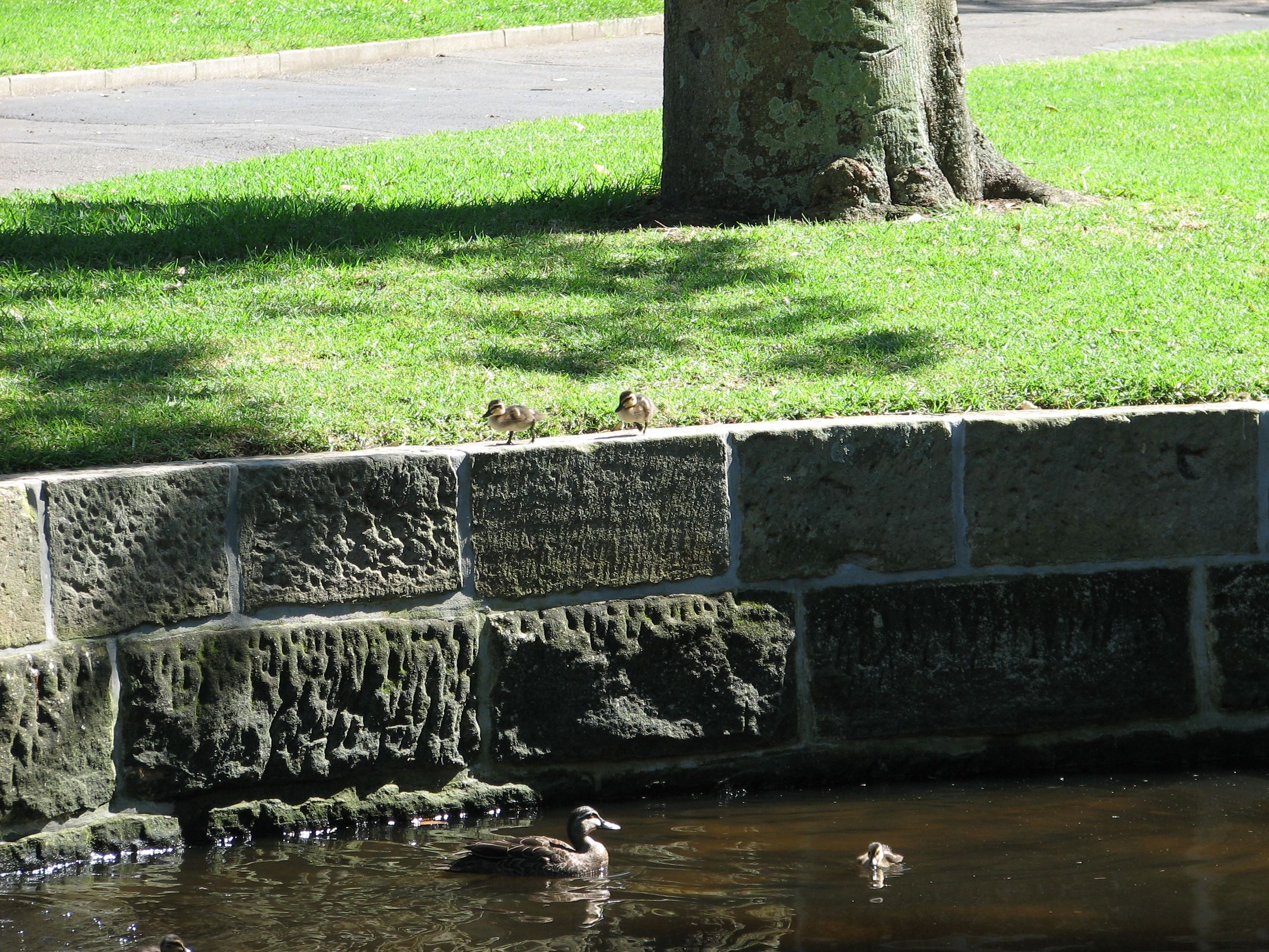 See, we're just fine down here