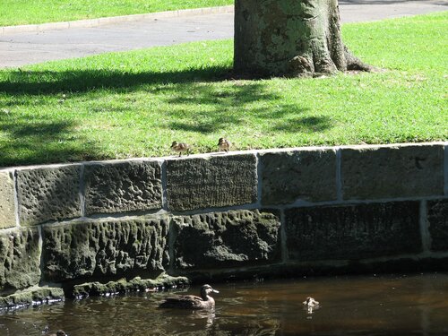 See, we're just fine down here