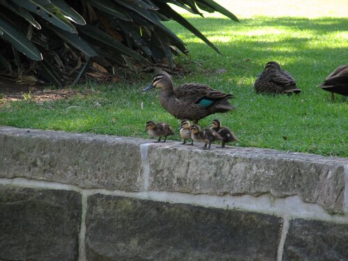 Ok, I'll show you again