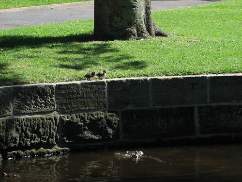 Looks like a long fall