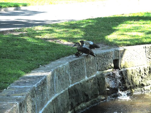 Ok, this is the last time I show you