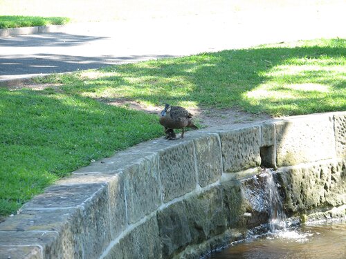 Come on, walk up to the edge