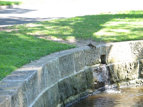 Ok, I'm getting ready