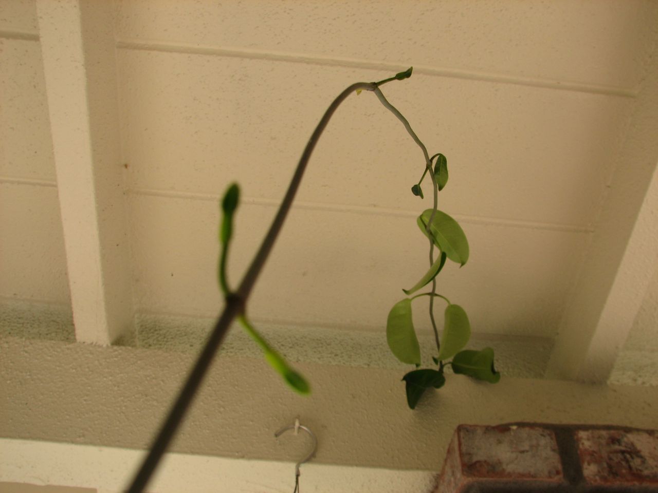 they're coming for you