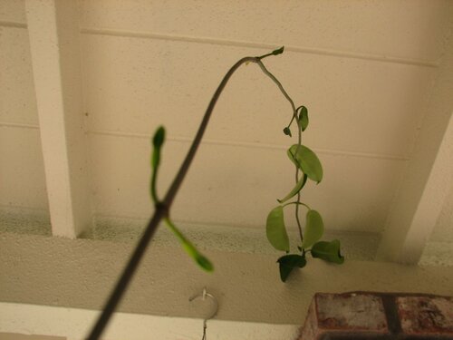 they're coming for you