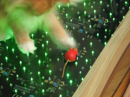 Jellybean versus the mechanical mouse