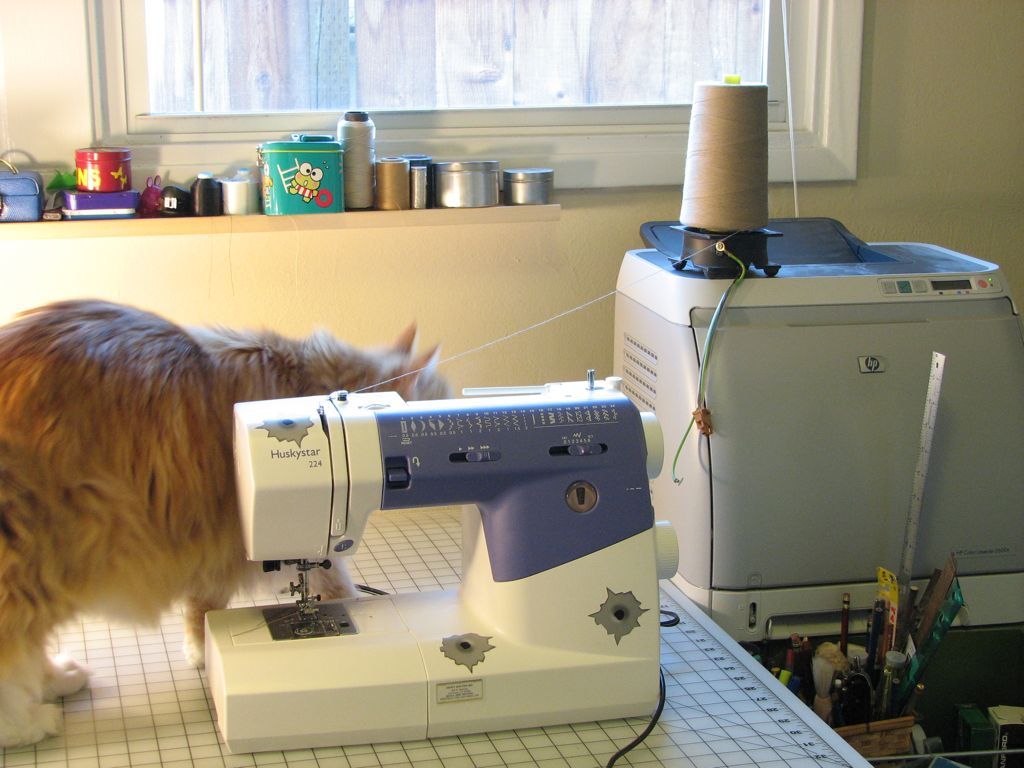 Jellybean string - 01