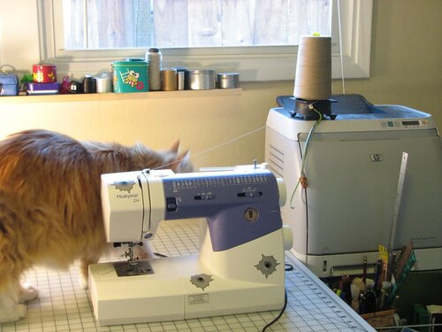 Jellybean string - 01