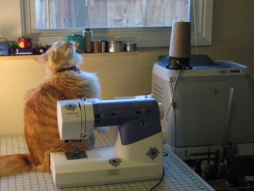 Jellybean string - 12