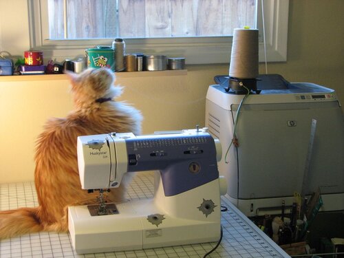 Jellybean string - 11