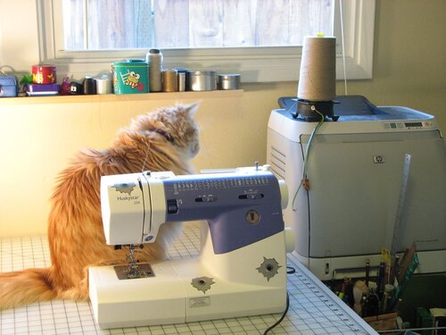 Jellybean string - 10