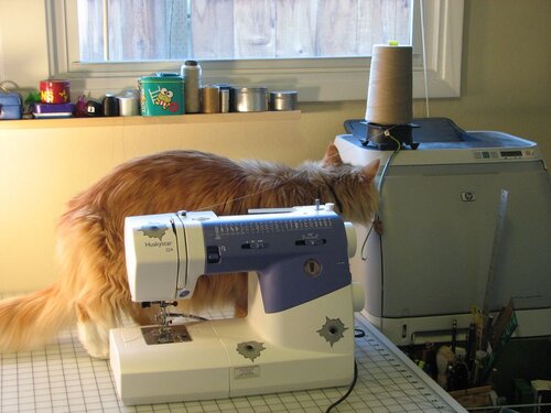 Jellybean string - 04