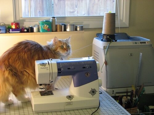 Jellybean string - 02