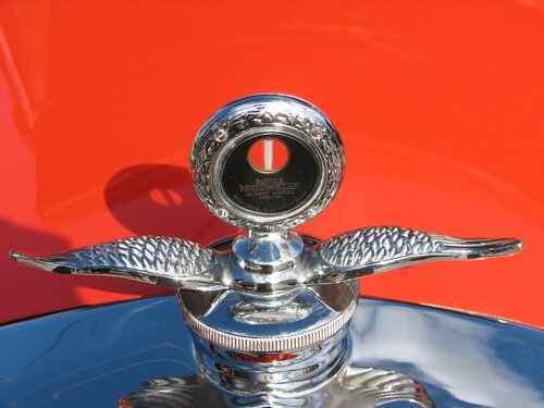 Cars at the holiday parade